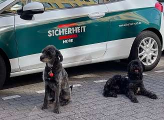 Bürohunde Sicherheit Nord